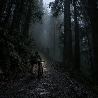 Pushing up a wooded fire road at first light, small against the trees.