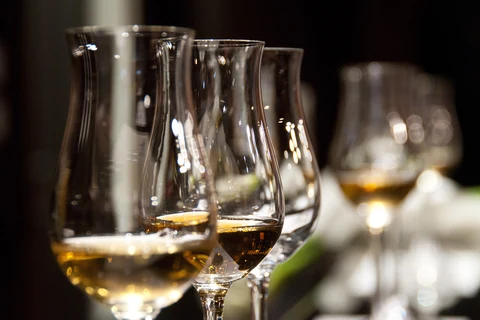 A row of tasting glasses poured along the counter before service.