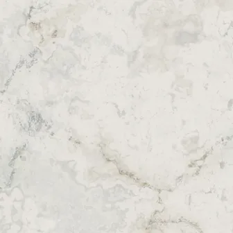 Bianco Corallo, polished: near-white marble, one soft grey drift across the crop